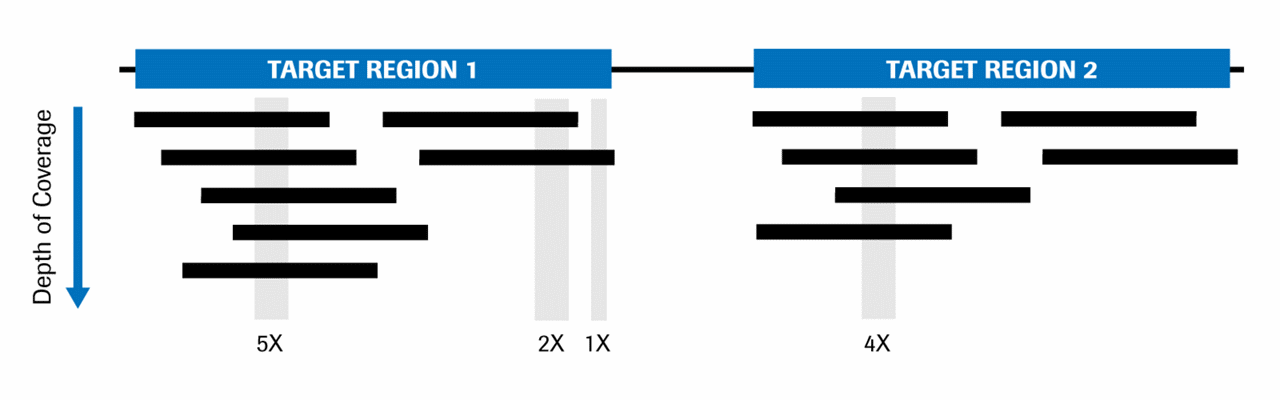 Whole Exome Sequencing Panel, Produts