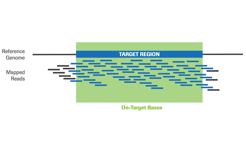 Illustration of on-target rates.